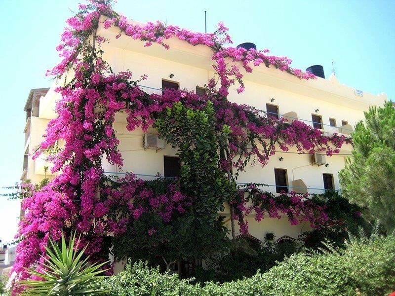 Knossos Hotel Каламакі Екстер'єр фото